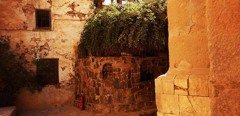 6-burning-bush-st.-catherine-monastry-egypt