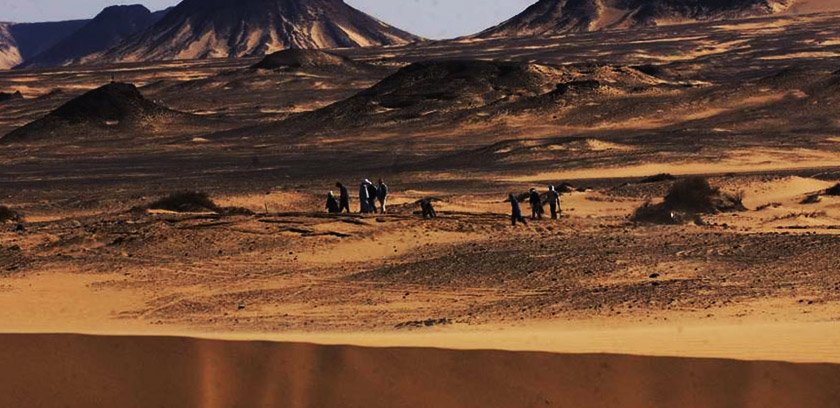 6-hajez-in-bharia-oasis-egypt