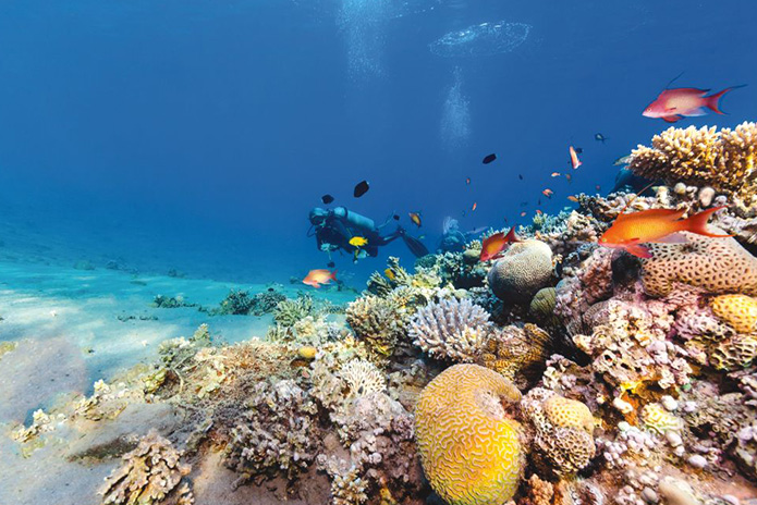 Cairo-Sharm-El-Sheikh-By-Bus-Package-2