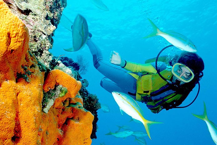 Explore-Cairo-Nile-Cruise-Aswan-to-Luxor-and-Hurghada-Tour-Package-3